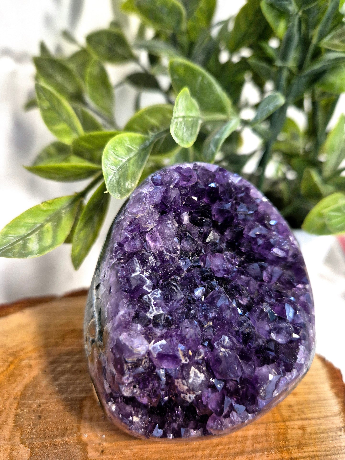 Amethyst Druse
